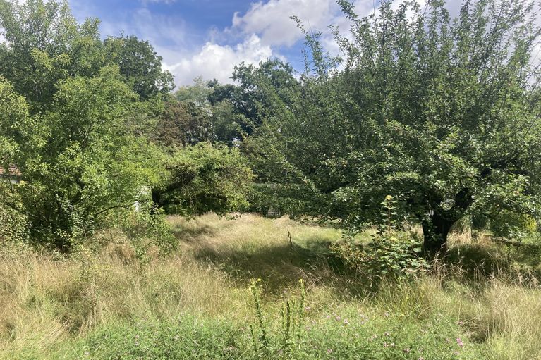 Grundstück in  Kösching: Grundstück zum Kauf von Immobilien Arno Pflug