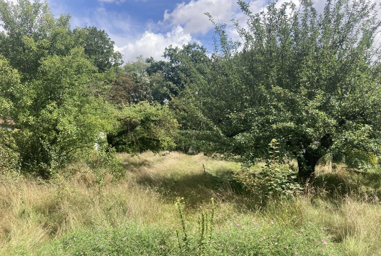 Grundstück in  Kösching: Grundstück zum Kauf von Immobilien Arno Pflug