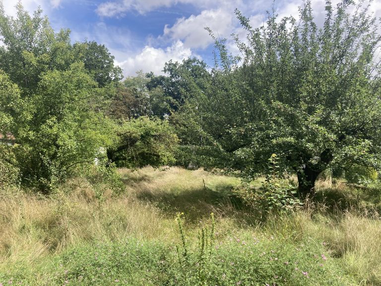 Grundstück im Probierlweg 1A Lage zum Kauf von Immobilien Arno Pflug